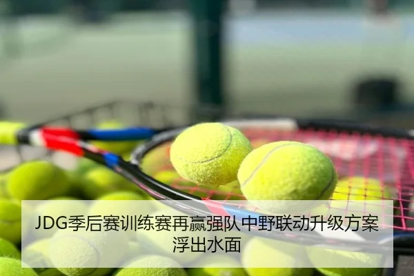 JDG季后赛训练赛再赢强队中野联动升级方案浮出水面